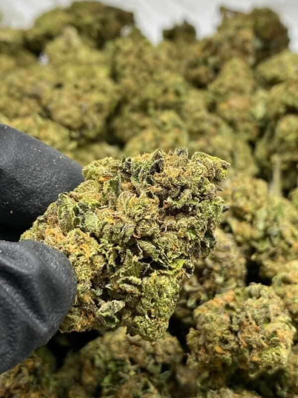 Bubba Kush THCa Flower