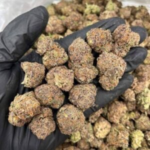 XJ-13 THCa Flower