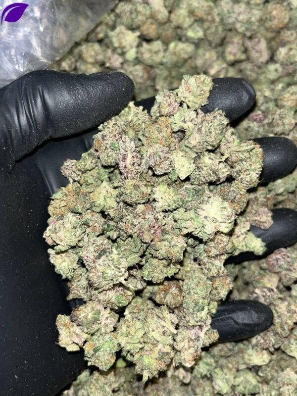 G41 Smalls THCA Exotic