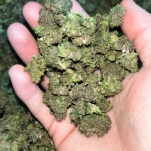 Pink Pineapple smalls CBD Strain