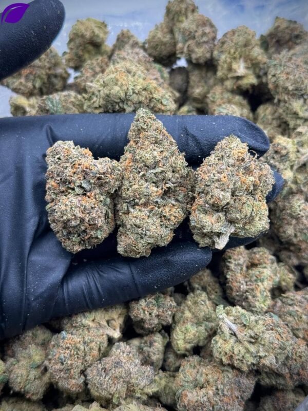Windy City Runtz Exotic THCa Flower