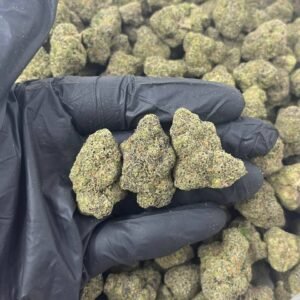 Spiced Apple THCa Flower