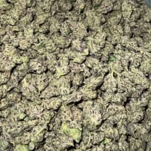 Plum Jam THCa Flower