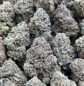 Raspberry Cream THCa Flower