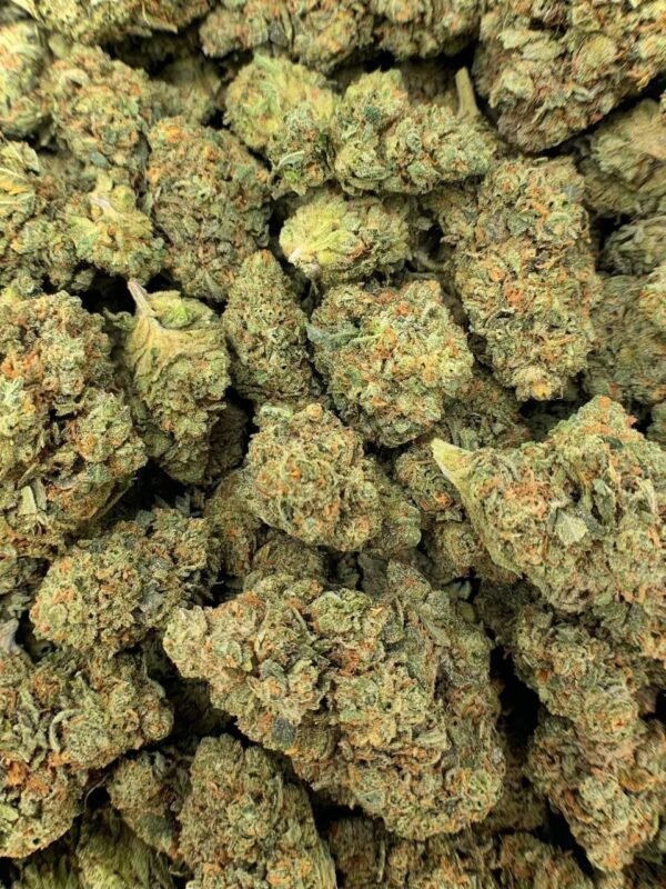 Gorilla Glue 4 (GG4)