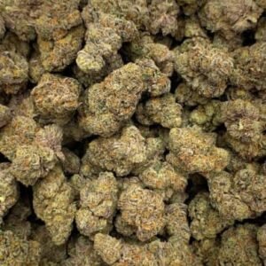 Purple Punch THCa Flower