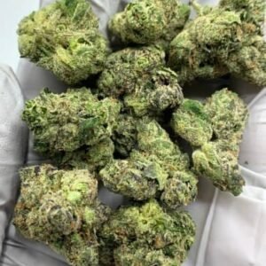 Tangerine Dream THCa Flower