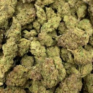 Spicy Mango THCa Flower