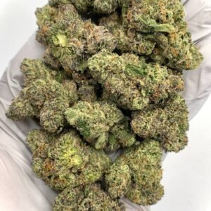 Strawberry Jam THCa Flower