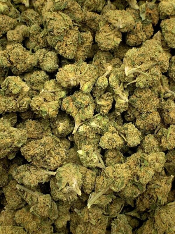 Bubblegum Dream THCa Flower